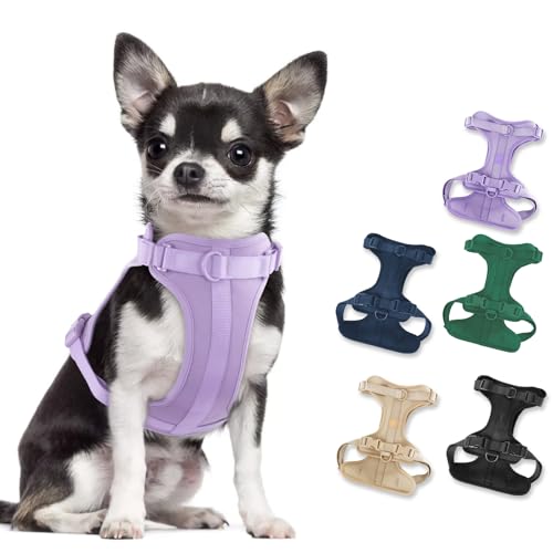Amazon.com : Wisedog No Pull Dog Harness, Lilac, X-Small | Lightweight, Adjustable Breathable Pet Vest, Soft & Comfortable Cushion, Small Medium Large Dogs : Pet Supplies