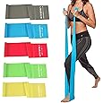 Amazon.com: Fit Simplify Resistance Loop Exercise Bands with Instruction Guide and Carry Bag, Set of 5 : Sports & Outdoors